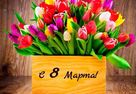 Наяда-Астана поздравляет с Международным женским днем - 8 Марта!